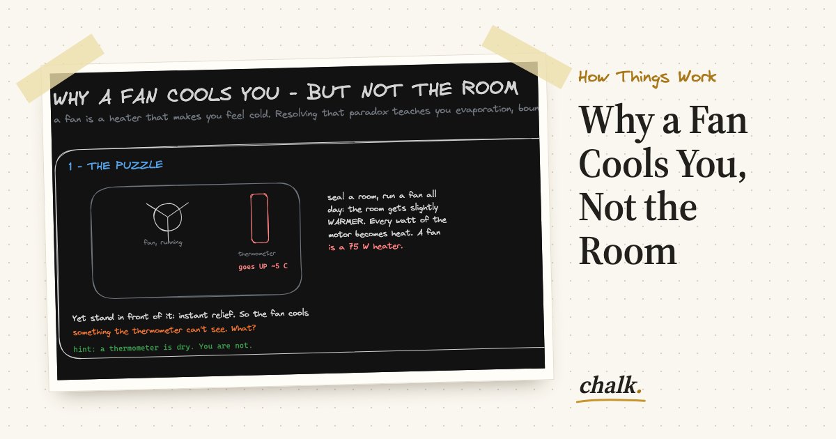 Open the full board: Why a Fan Cools You, Not the Room
