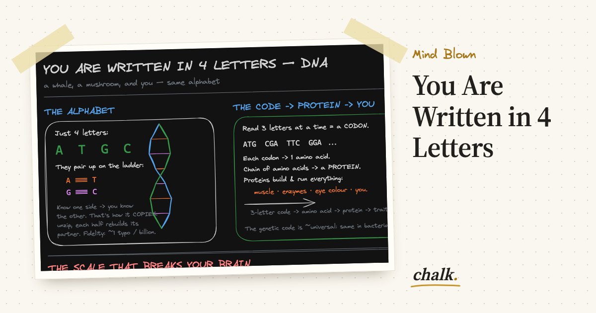 Open the full board: You Are Written in 4 Letters