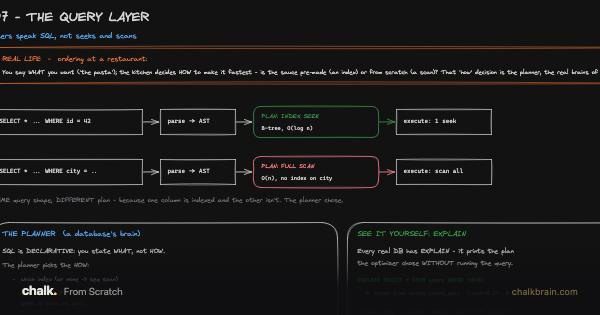 The Query Layer